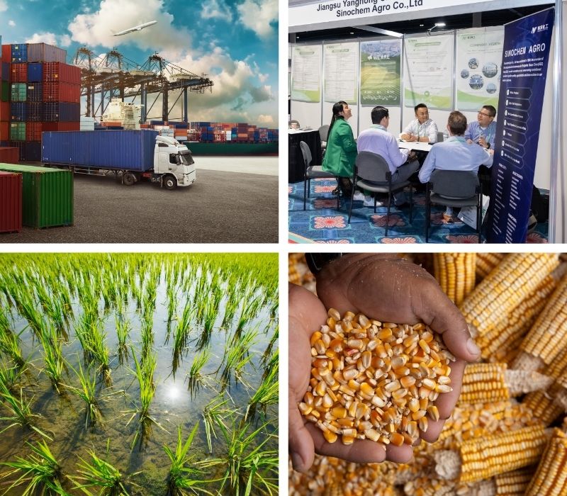 supply chain image, trade summit exhibitor booth, rice paddy field in south india, maize/corn